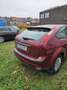 Ford Focus 1.6i 16v Ambiente - thumbnail 5