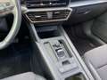 CUPRA Formentor 1.5 TSI DSG Grey - thumbnail 29
