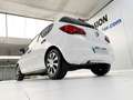 Opel Corsa 1.3CDTI Business75 Weiß - thumbnail 16