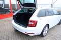 Skoda Octavia Combi 1.0 TSI Greentech Clever Edition Navi|Half L Wit - thumbnail 10