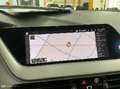 BMW 116 D 115CV STEPTRONIC BUSINESS ADVANTAGE ( NAVI ) - thumbnail 9