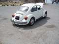 Volkswagen Maggiolino Maggiolino 1.2 L (messico) - thumbnail 7