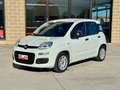 Fiat Panda Panda III 2021 1.0 firefly hybrid s PERFETTA Wit - thumbnail 3