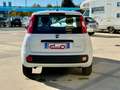 Fiat Panda Panda III 2021 1.0 firefly hybrid s PERFETTA Wit - thumbnail 5
