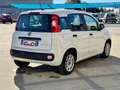 Fiat Panda Panda III 2021 1.0 firefly hybrid s PERFETTA Wit - thumbnail 6