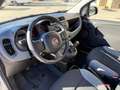 Fiat Panda Panda III 2021 1.0 firefly hybrid s PERFETTA Wit - thumbnail 7