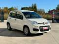 Fiat Panda Panda III 2021 1.0 firefly hybrid s PERFETTA Wit - thumbnail 1