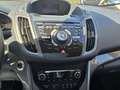 Ford C-Max 1.0 EcoBoost Titanium *Kamera*Panorama*Szhzg.* Noir - thumbnail 16
