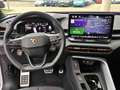CUPRA Terramar 1.5 eTSI DSG NAVI HEAD-UP MEMORY 360° Weiß - thumbnail 14