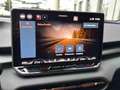 CUPRA Terramar 1.5 eTSI DSG NAVI HEAD-UP MEMORY 360° Weiß - thumbnail 19