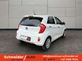 Kia Picanto 1,2 MPI Gold Aut. Weiß - thumbnail 4