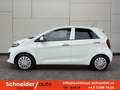 Kia Picanto 1,2 MPI Gold Aut. Weiß - thumbnail 3