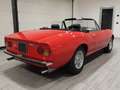 Fiat Dino 2400 SPIDER TIPO 135 BS - RARISSIMA (1970) Rot - thumbnail 3