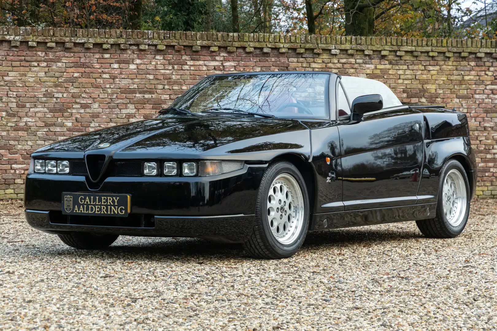 Alfa Romeo RZ Zagato "No.162" "Busso" experience in one of Alfa Schwarz - 1