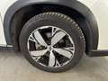 Subaru Forester Forester V 2020 2.0i e-boxer Premium lineartronic Bianco - thumbnail 20