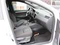 SEAT Ibiza 1.0 TSI FR Business Intense 1e Eig/Navi/Camera/Sen Wit - thumbnail 36