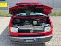 Volkswagen T4 Allstar Allstar/Classic70BMD2/W447/1HandAnhängerkuplung Rojo - thumbnail 12
