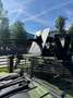 HUMMER H1 HUMVEE HMVV Schwarz - thumbnail 29
