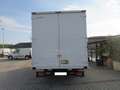 Iveco Daily 35C14 FURGONE IN ALLUMINIO Blanc - thumbnail 5