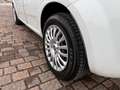 Fiat Punto 5p 1.3 mjt AUTOCARRO N1/UNIPRO/STORICO Blanc - thumbnail 12
