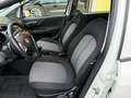 Fiat Punto 5p 1.3 mjt AUTOCARRO N1/UNIPRO/STORICO Blanc - thumbnail 7