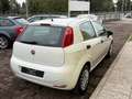Fiat Punto 5p 1.3 mjt AUTOCARRO N1/UNIPRO/STORICO Blanc - thumbnail 4