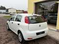 Fiat Punto 5p 1.3 mjt AUTOCARRO N1/UNIPRO/STORICO Blanc - thumbnail 6