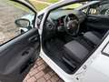 Fiat Punto 5p 1.3 mjt AUTOCARRO N1/UNIPRO/STORICO Blanc - thumbnail 8