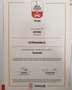 Volkswagen Sharan Sky BMT 2,0 TDI DSG Argent - thumbnail 31