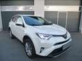 Toyota RAV 4 2,5-l-Hybrid Team Deutschland Auto 4x2 LED Blanc - thumbnail 1