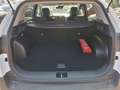 Kia Sportage 1,6 TGDI Silber DCT AUTO STAHL WIEN 21 Casa White Weiß - thumbnail 21