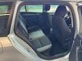 Skoda Octavia Ambition 4x4 Grau - thumbnail 5