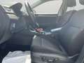 Skoda Superb Combi 2.0 TDI DSG Style Braun - thumbnail 10