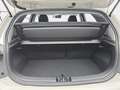 Kia Picanto PICANTO 1.2 AUTO. (AMT) SPIRIT MJ25 LAUNCH EDITION Beige - thumbnail 15