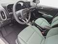 Kia Picanto PICANTO 1.2 AUTO. (AMT) SPIRIT MJ25 LAUNCH EDITION Beige - thumbnail 20
