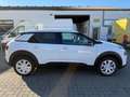 Citroen C4 Cactus Shine=Kamera-8 Fach Bereift-Klima= Bianco - thumbnail 4