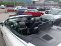 Mercedes-Benz C 220 d Cabrio Aut. AMG Line, AMG Styling unm... Wit - thumbnail 16
