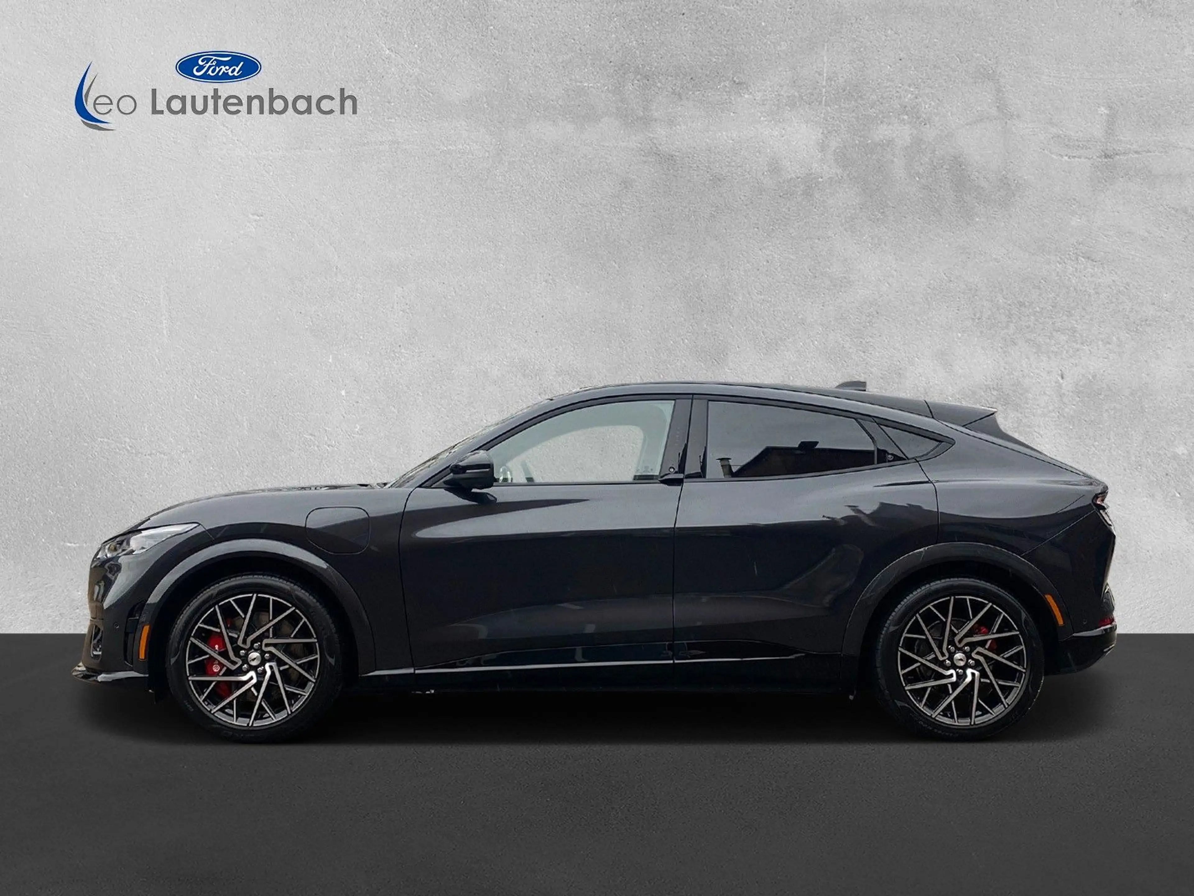 Ford Mustang Mach-E GT AWD — photo 2