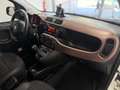 Fiat Panda Panda III 2016 1.0 hybrid Trussardi s Blanc - thumbnail 12