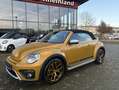 Volkswagen Beetle CABRIO DSG 150PS SONDERMODELL DUNE 16.271KM 1-HAND Or - thumbnail 8