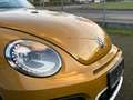 Volkswagen Beetle CABRIO DSG 150PS SONDERMODELL DUNE 16.271KM 1-HAND Or - thumbnail 9