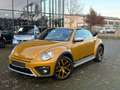 Volkswagen Beetle CABRIO DSG 150PS SONDERMODELL DUNE 16.271KM 1-HAND Or - thumbnail 3