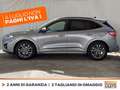 Ford Kuga 1.5 ecoblue st-line x 2wd 120cv auto Grigio - thumbnail 4