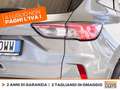 Ford Kuga 1.5 ecoblue st-line x 2wd 120cv auto Grigio - thumbnail 18