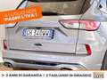 Ford Kuga 1.5 ecoblue st-line x 2wd 120cv auto Grigio - thumbnail 19