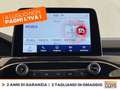 Ford Kuga 1.5 ecoblue st-line x 2wd 120cv auto Grigio - thumbnail 26