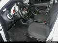 smart forFour smart EQ forfour Klima/Styling/Tempomat/Volldach Weiß - thumbnail 10