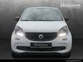 smart forFour smart EQ forfour Klima/Styling/Tempomat/Volldach Weiß - thumbnail 3