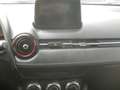 Mazda CX-3 CX-3 1.5d Evolve 2wd 105cv my17 Rot - thumbnail 17