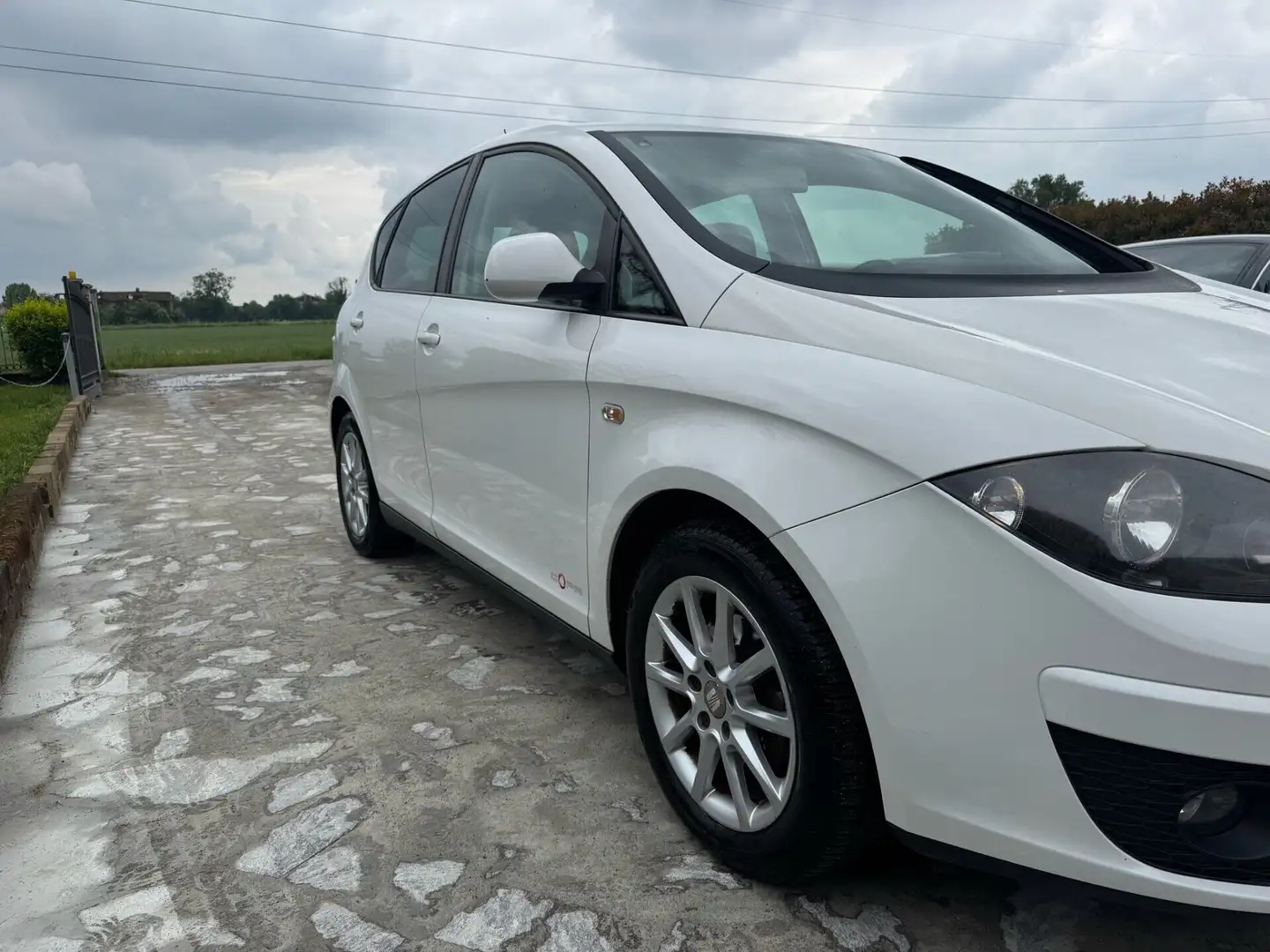 SEAT Altea XL 1.6 TDI 105 CV CR DPF DSG Style neopatentati Bianco - 2